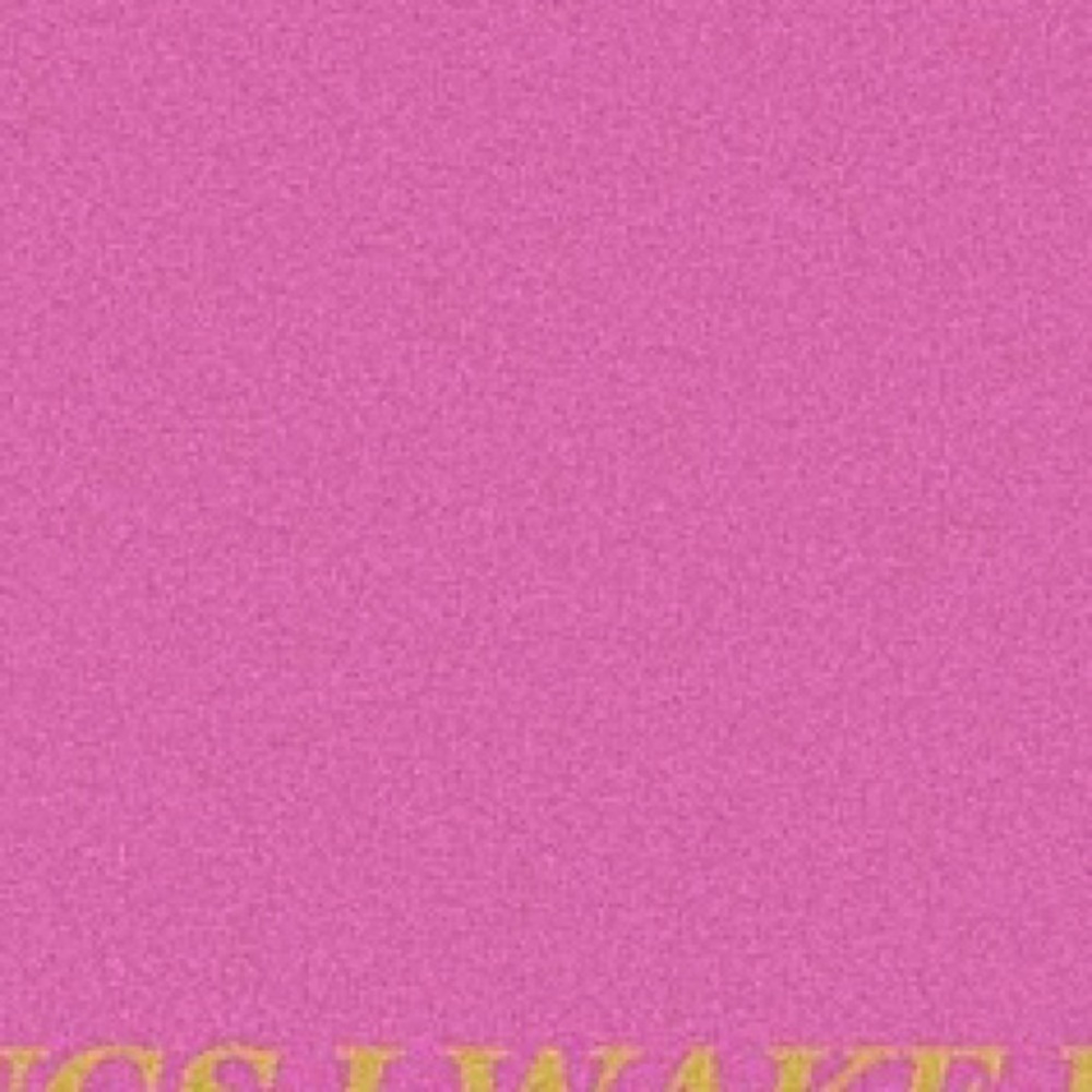 Meet your Posher, Maddie